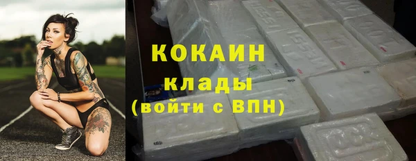 прущие грибы Абдулино