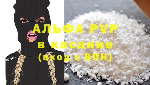 стаф Алзамай